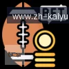 开云APP logo