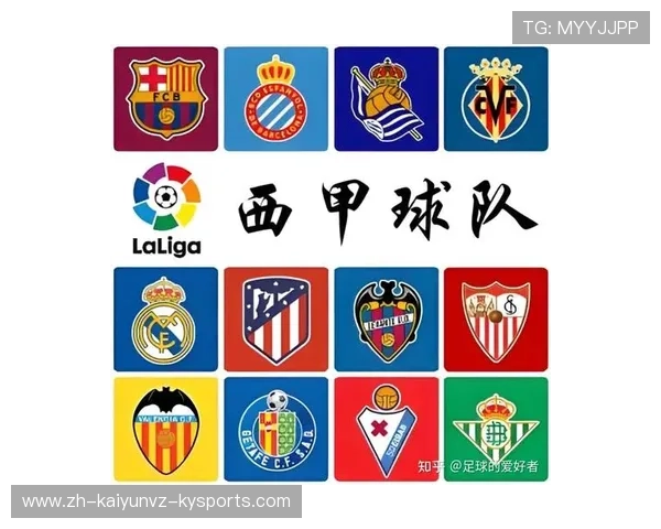 法甲球队身价：法甲各球队身价排名与市场价值分析 (2)